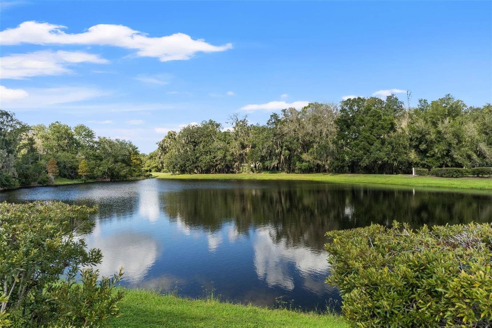 6029 HAMMOCK HILL AVENUE, Lithia, FL 33547 6029 HAMMOCK HILL AVENUE, Lithia, FL 33547