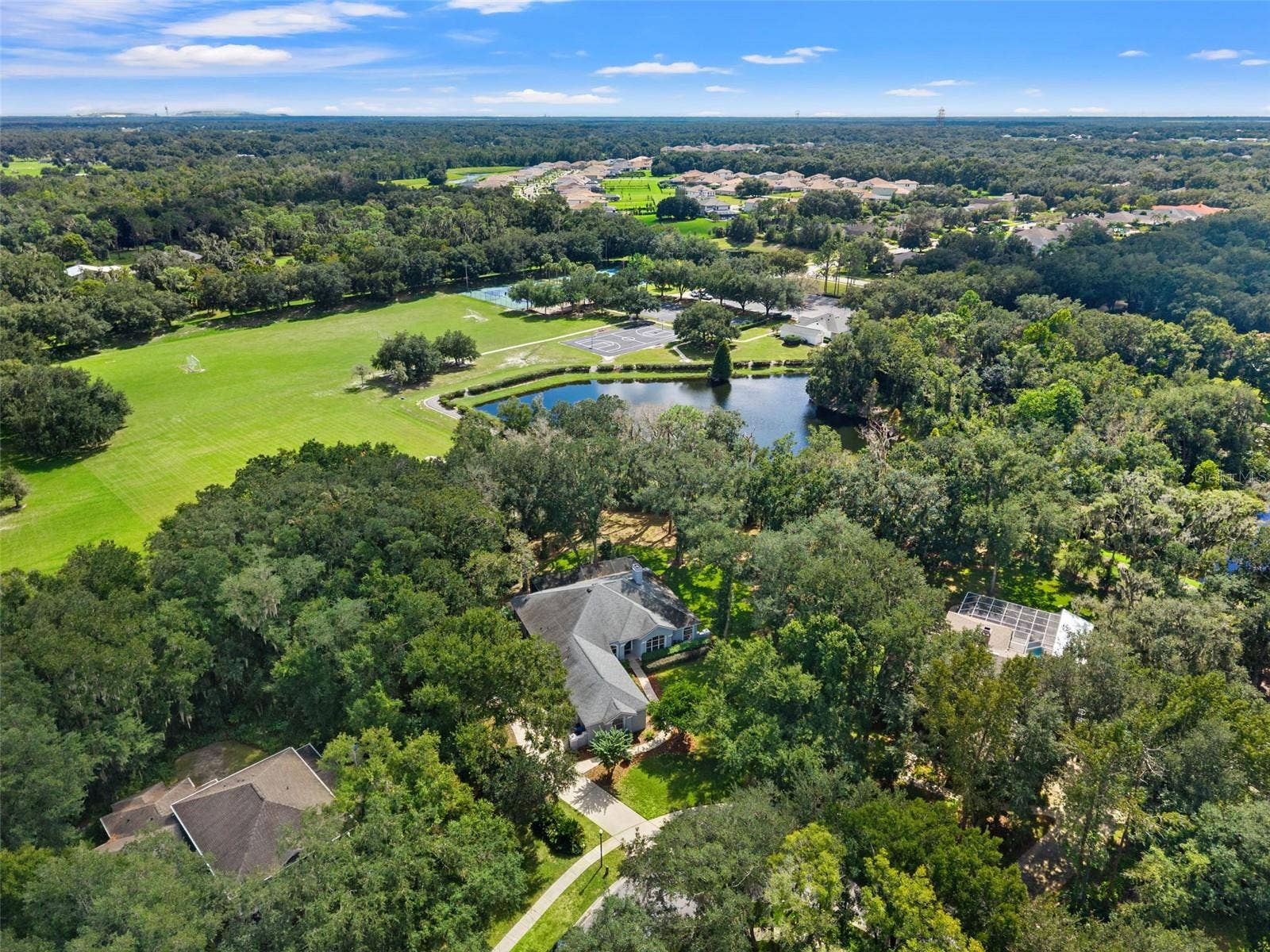 6029 HAMMOCK HILL AVENUE, Lithia, FL 33547 6029 HAMMOCK HILL AVENUE, Lithia, FL 33547