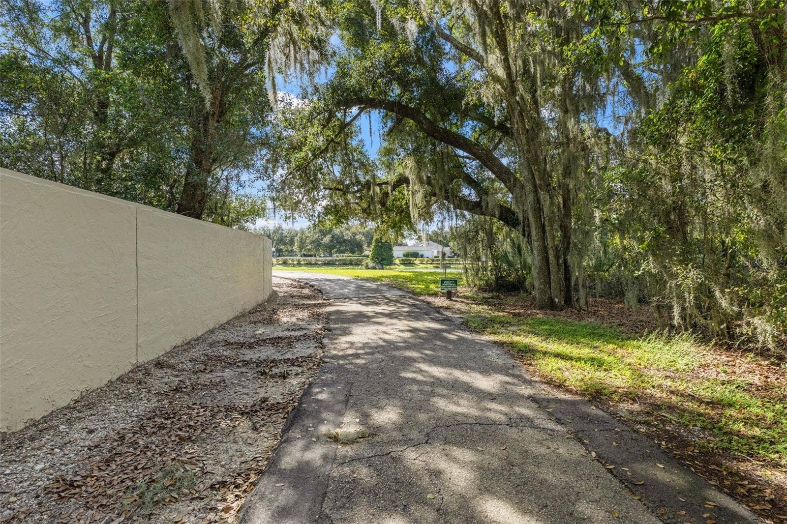6029 HAMMOCK HILL AVENUE, Lithia, FL 33547 6029 HAMMOCK HILL AVENUE, Lithia, FL 33547