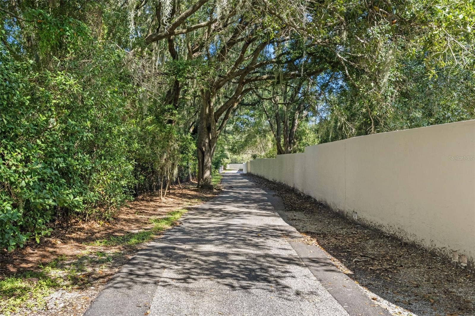 6029 HAMMOCK HILL AVENUE, Lithia, FL 33547 6029 HAMMOCK HILL AVENUE, Lithia, FL 33547
