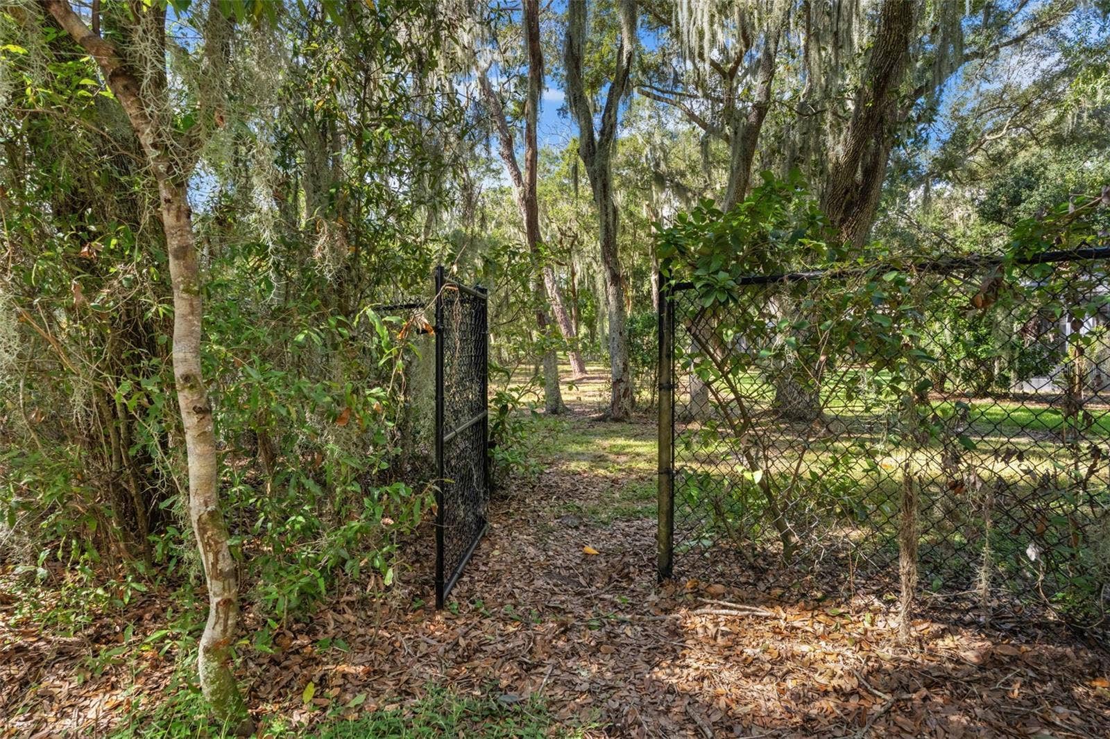 6029 HAMMOCK HILL AVENUE, Lithia, FL 33547 6029 HAMMOCK HILL AVENUE, Lithia, FL 33547