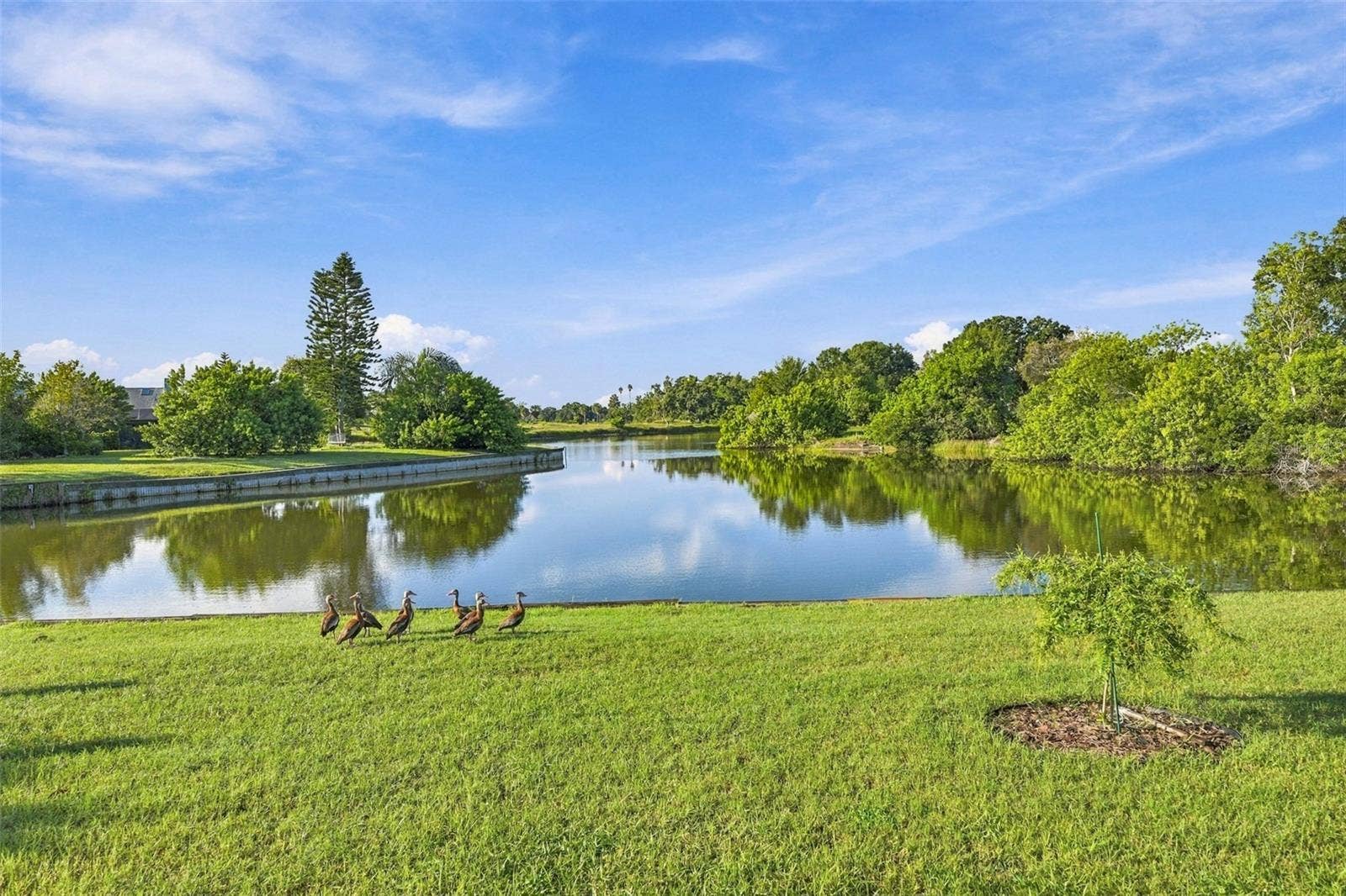 211 STONEHAM DRIVE, Sun City Center, FL 33573 This is the view from your Florida room. Wild life is abundant and nothing but peace and tranquility.