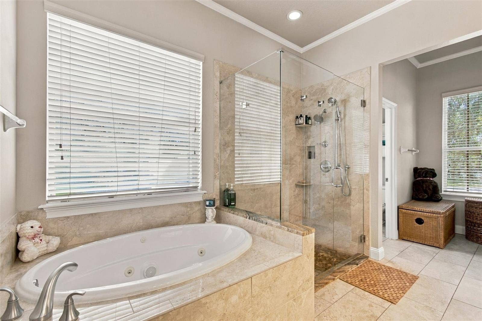 26221 SWORD DANCER DRIVE, Wesley Chapel, FL 33544