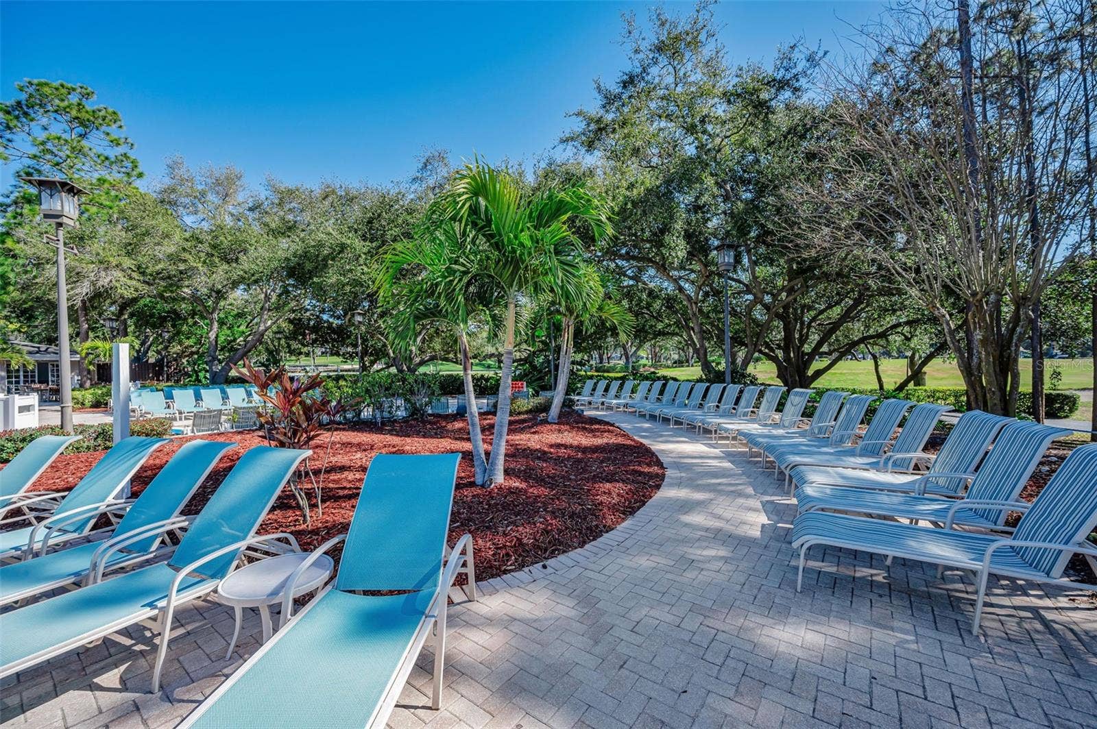 36750 US HIGHWAY 19 N, #2769, Palm Harbor, FL 34684