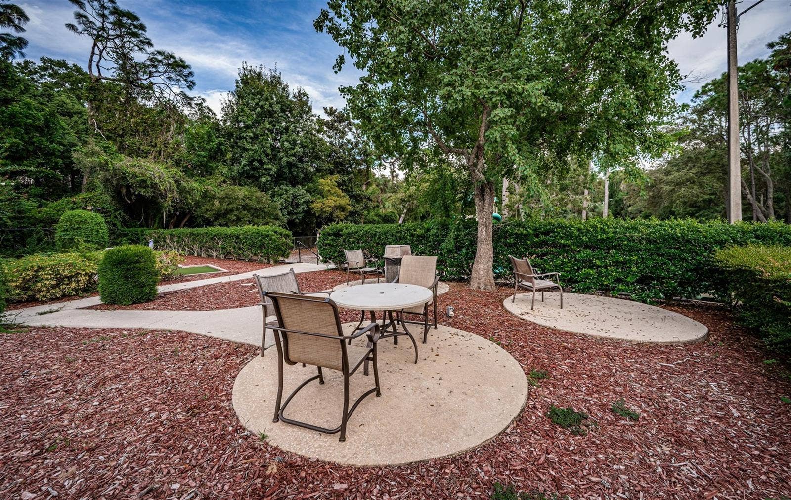 36750 US HIGHWAY 19 N, #2769, Palm Harbor, FL 34684