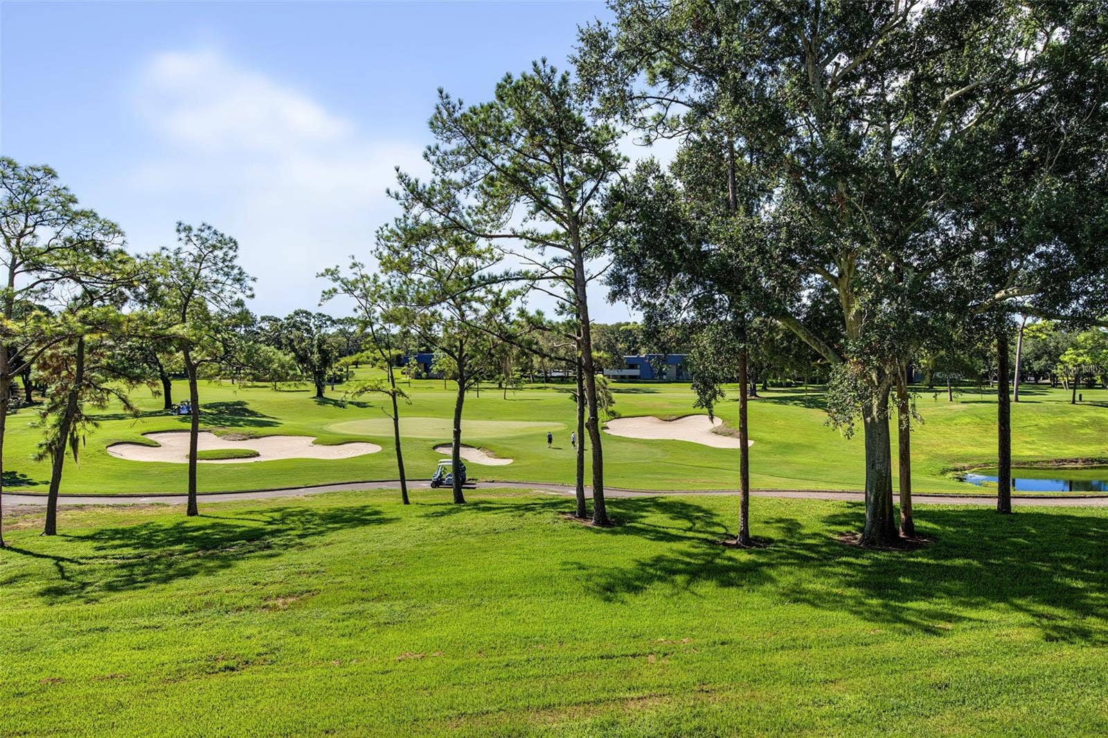 36750 US HIGHWAY 19 N, #2769, Palm Harbor, FL 34684