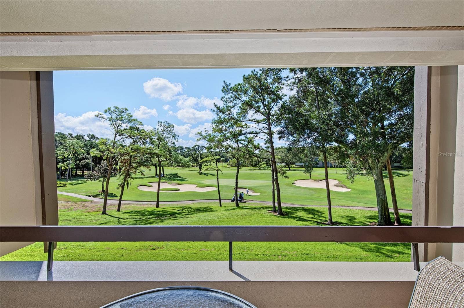36750 US HIGHWAY 19 N, #2769, Palm Harbor, FL 34684