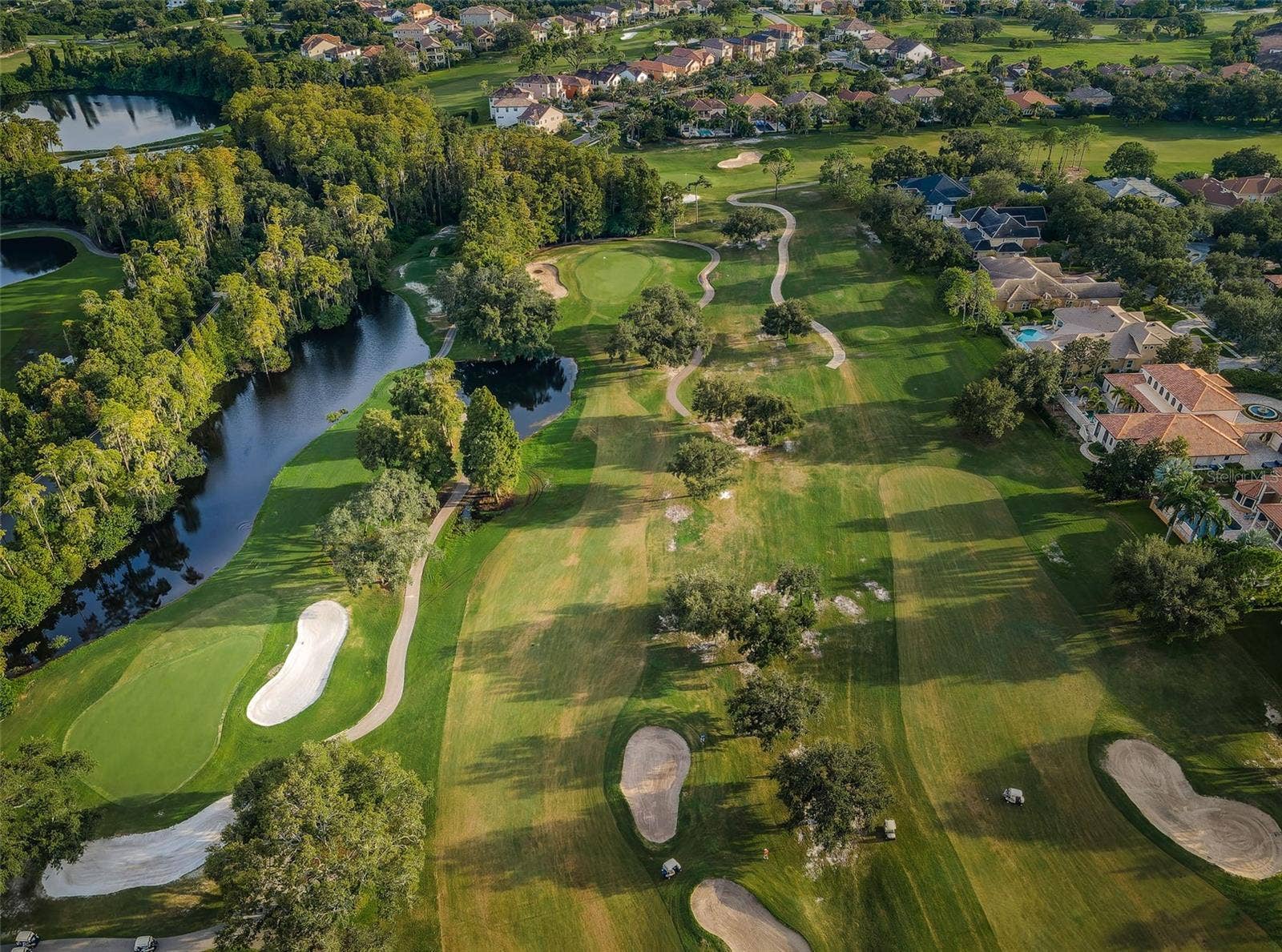 36750 US HIGHWAY 19 N, #2769, Palm Harbor, FL 34684