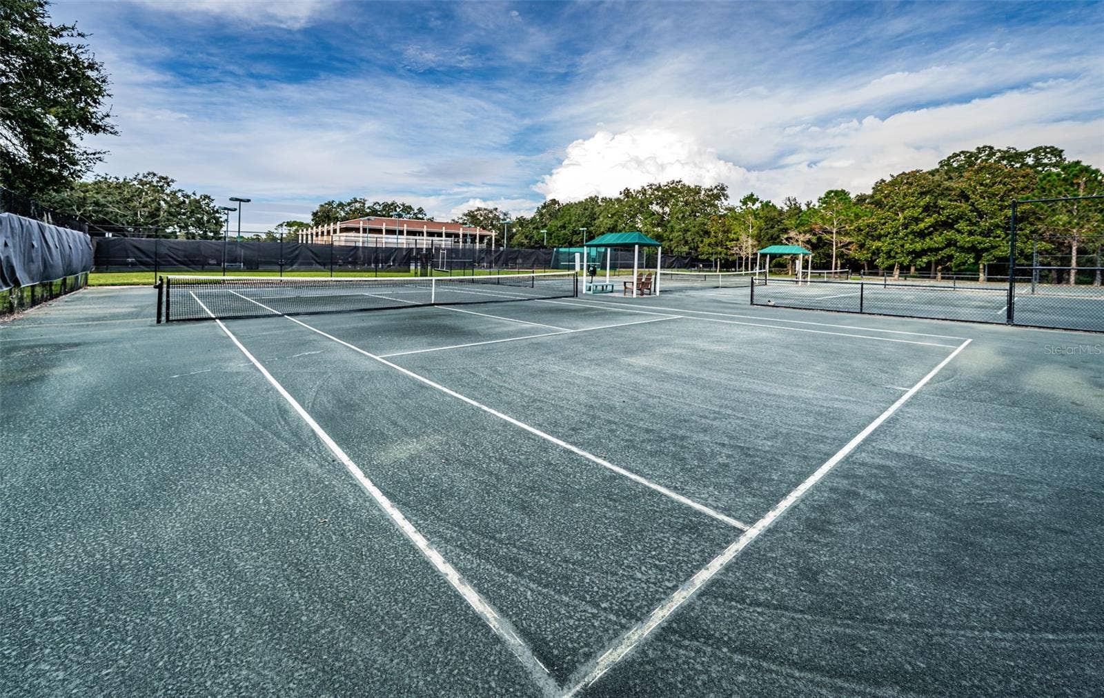 36750 US HIGHWAY 19 N, #2769, Palm Harbor, FL 34684