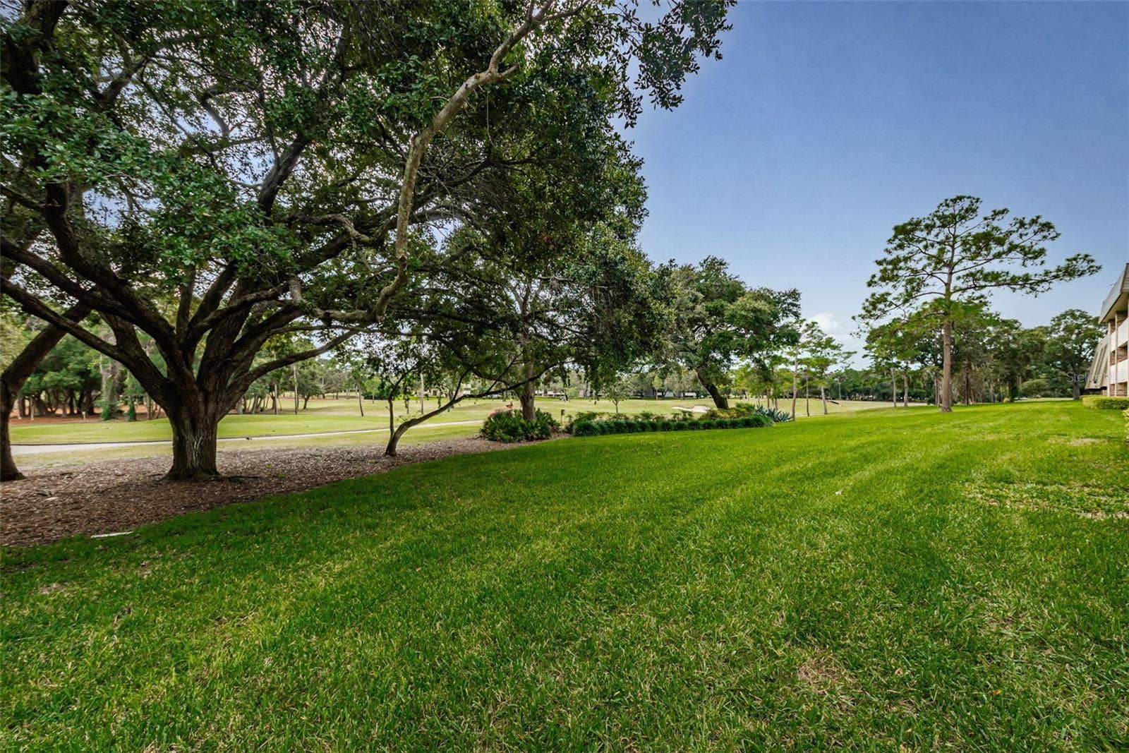 36750 US HIGHWAY 19 N, #2769, Palm Harbor, FL 34684