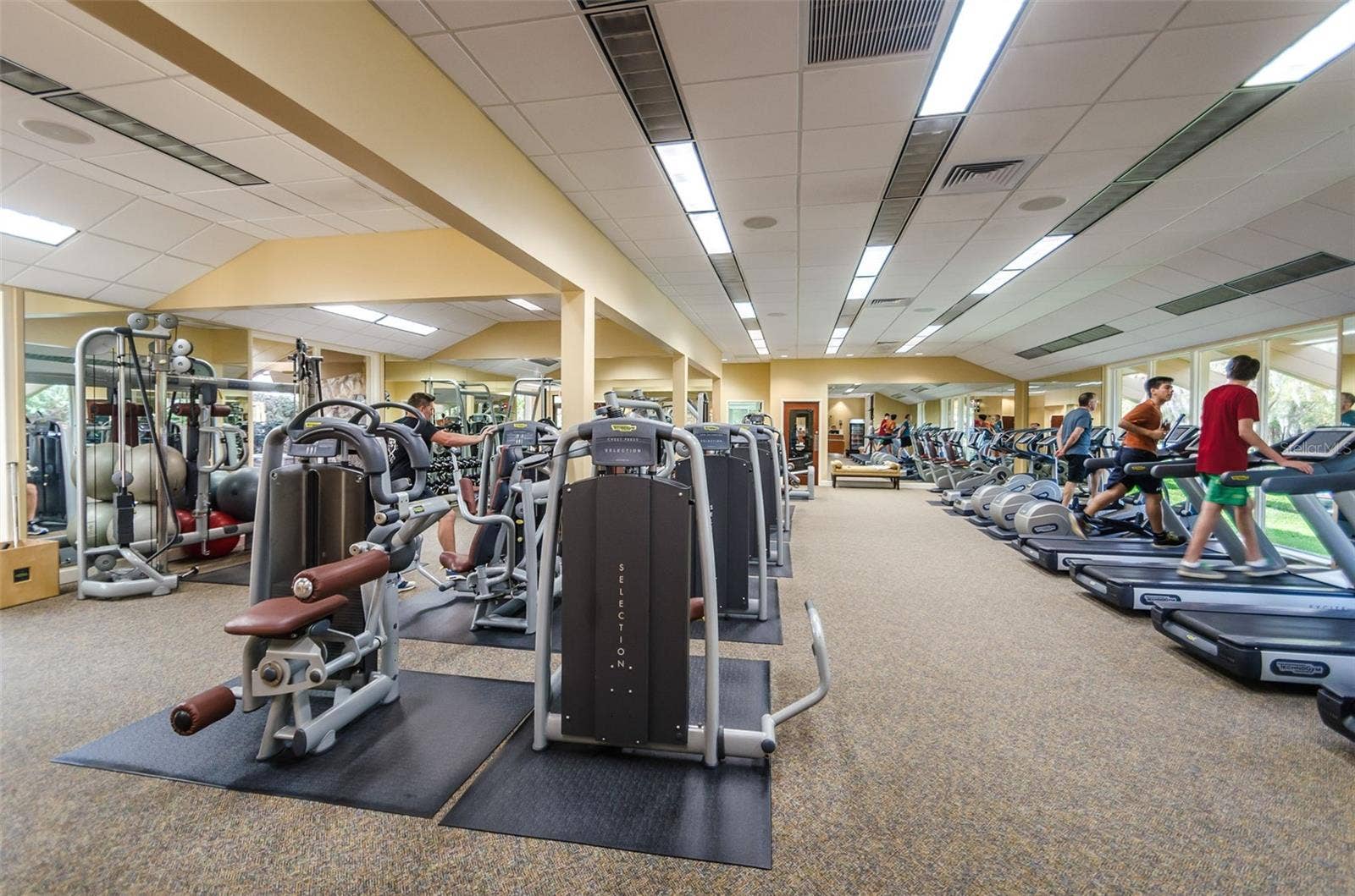 36750 US HIGHWAY 19 N, #2769, Palm Harbor, FL 34684