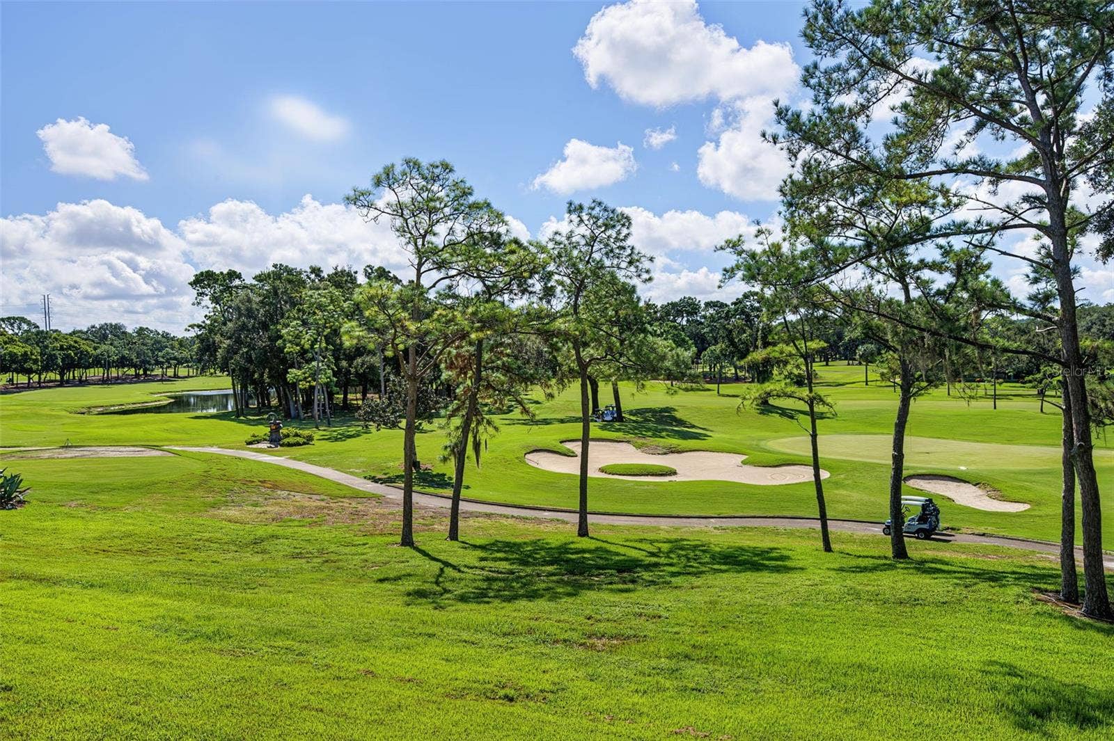 36750 US HIGHWAY 19 N, #2769, Palm Harbor, FL 34684