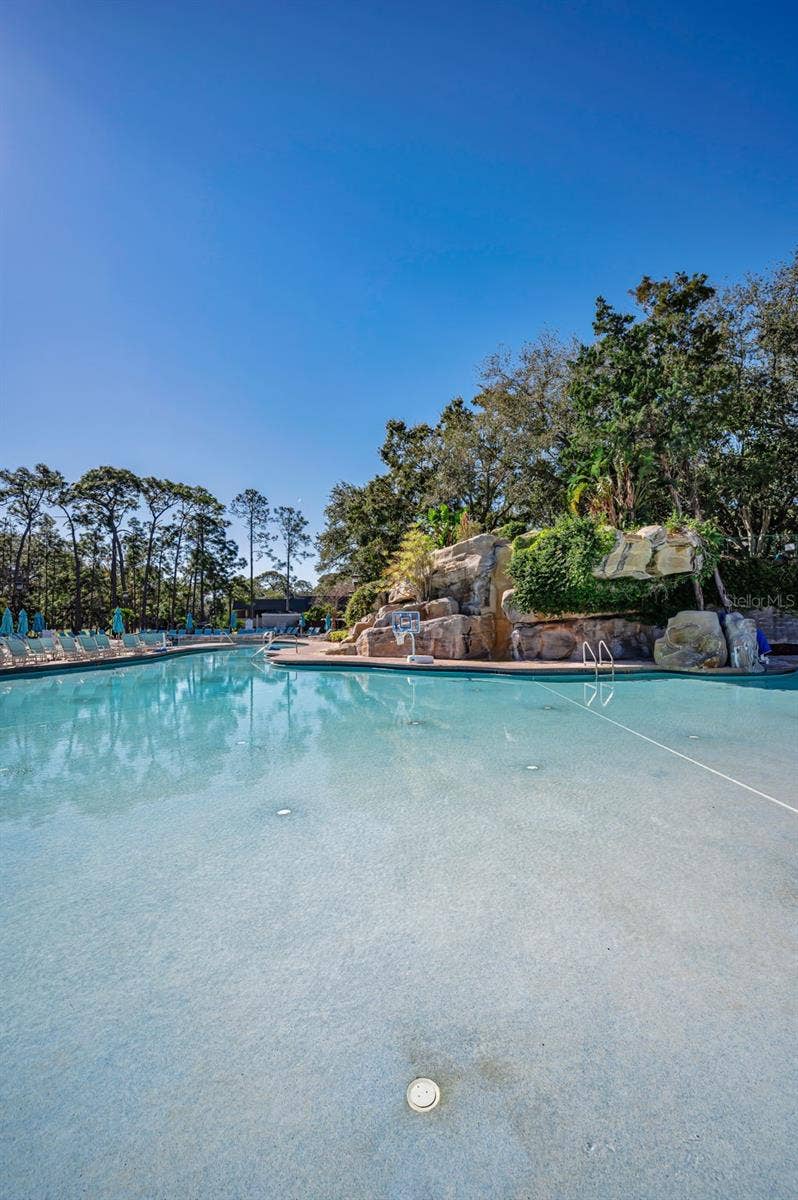 36750 US HIGHWAY 19 N, #2769, Palm Harbor, FL 34684