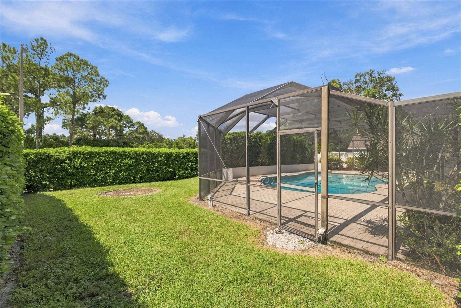 2924 TORREY PINES COURT, Clearwater, FL 33761 Back Yard