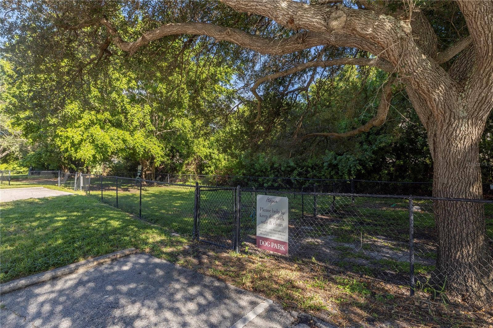 10263 GANDY BOULEVARD N, #315, St Petersburg, FL 33702 dog park