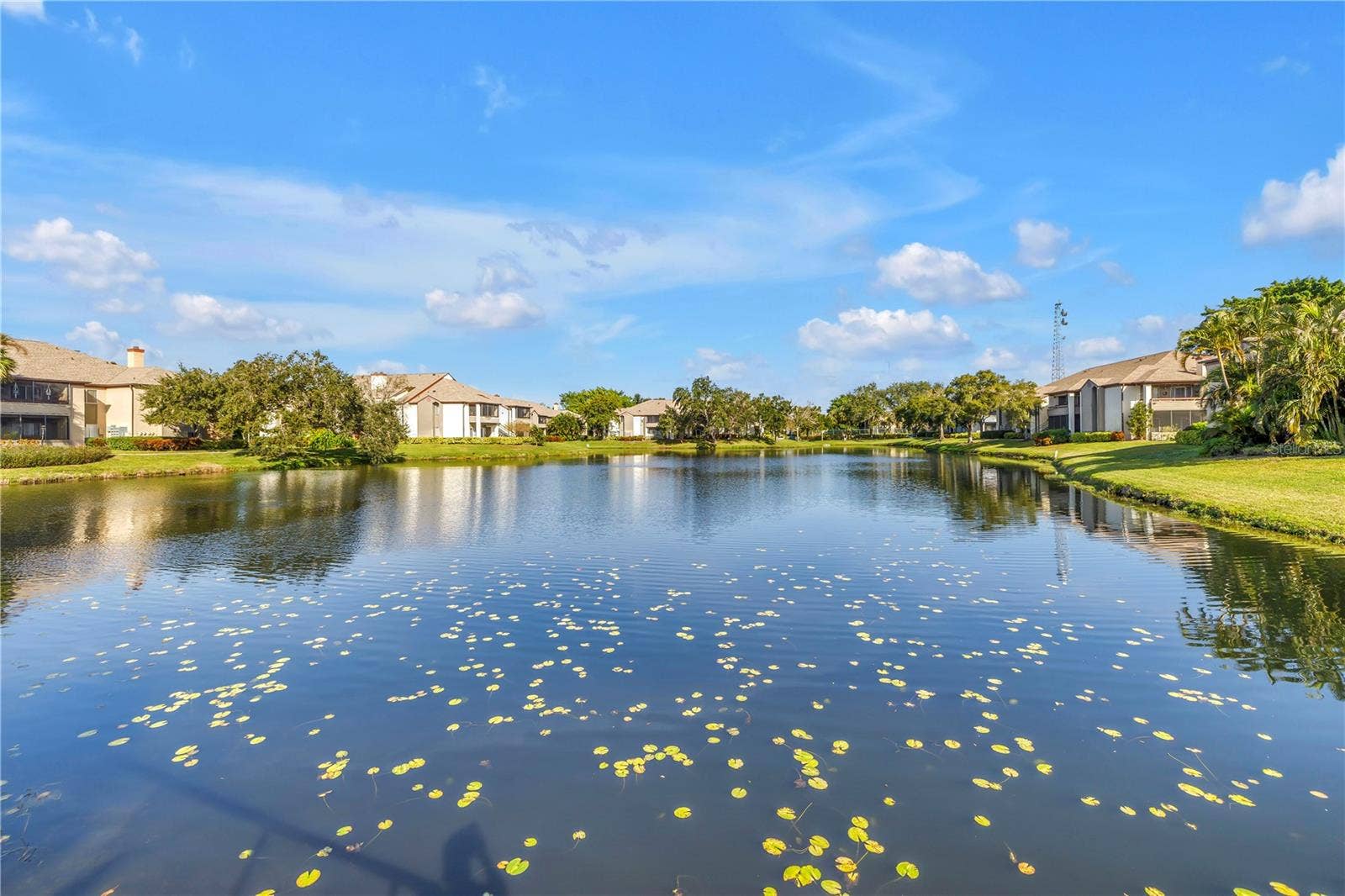 10263 GANDY BOULEVARD N, #315, St Petersburg, FL 33702 pond