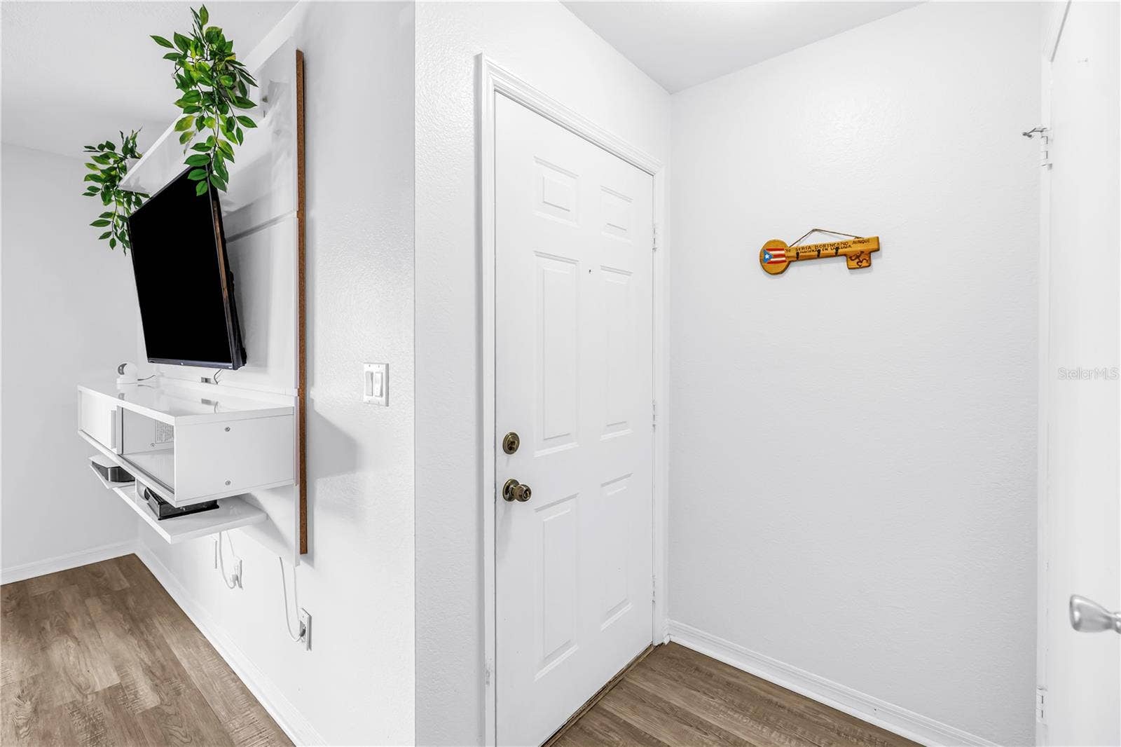 10263 GANDY BOULEVARD N, #315, St Petersburg, FL 33702 foyer