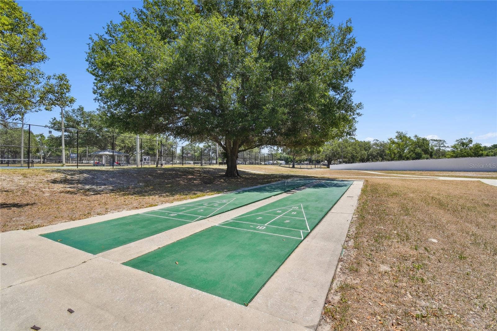 23227 CLUB VILLAS DRIVE, #38, Land O Lakes, FL 34639 Shuffleboard