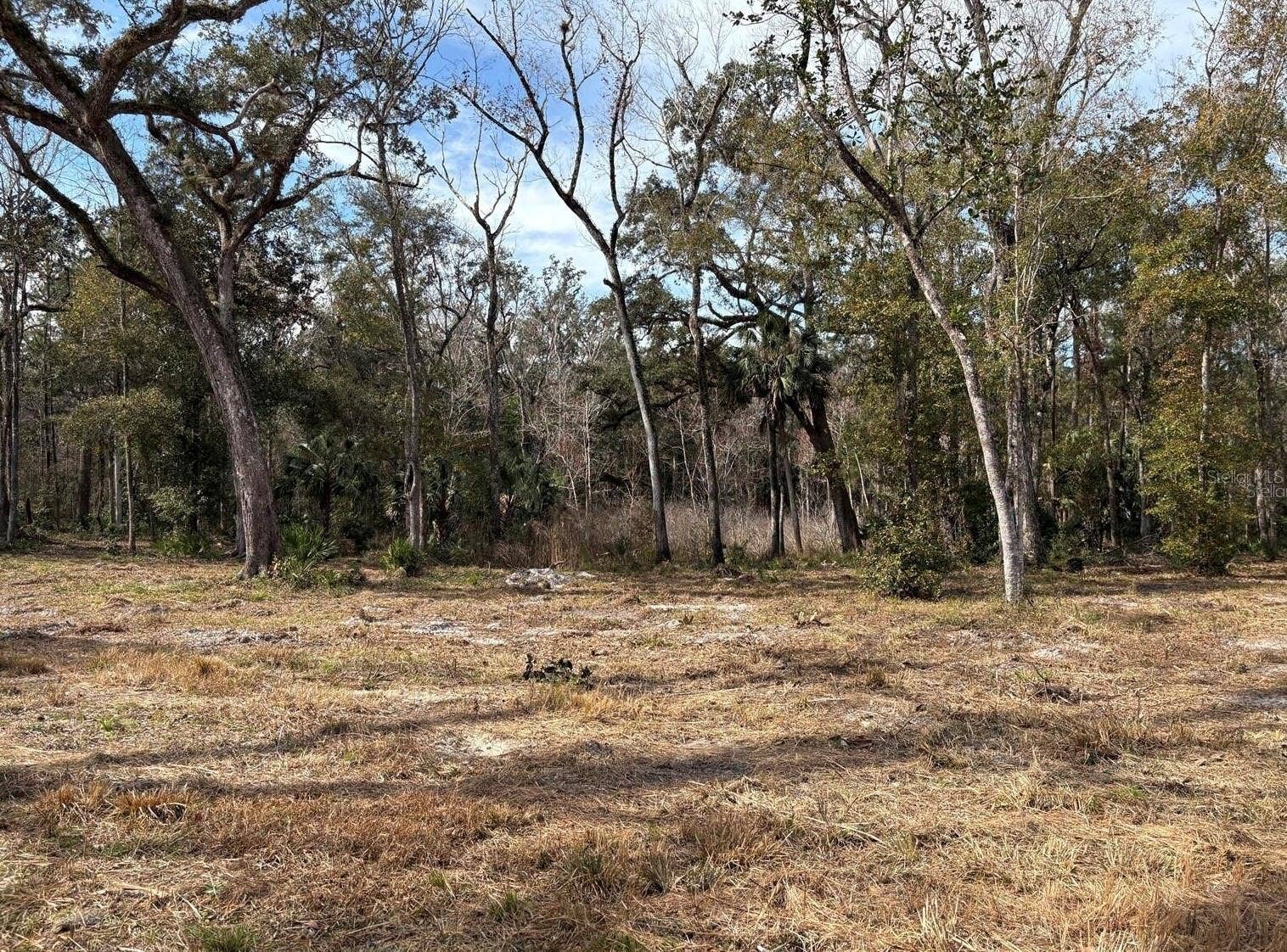 LAKE LINDSEY ROAD, Brooksville, FL 34601