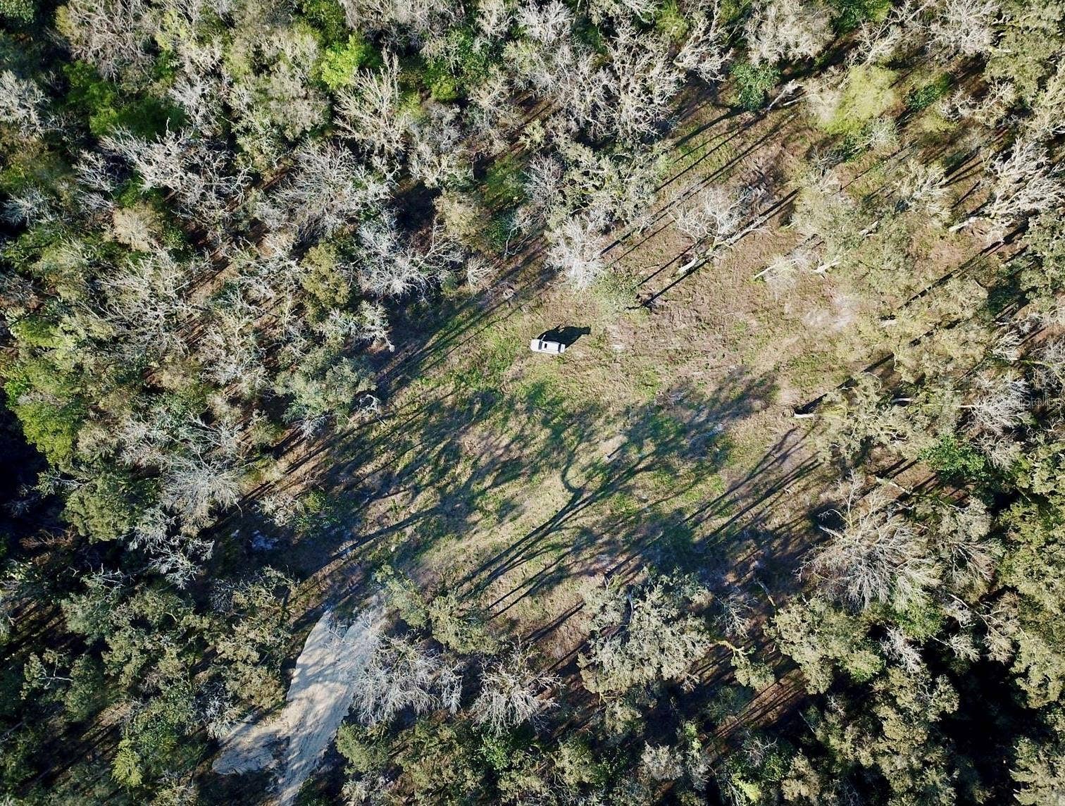Ariel of the center clearing