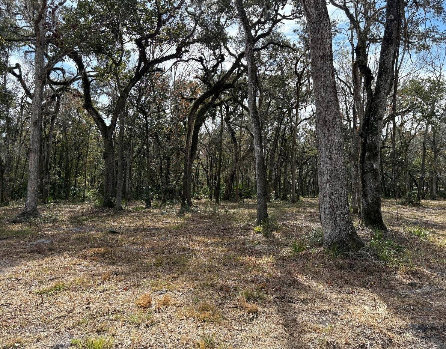 LAKE LINDSEY ROAD, Brooksville, FL 34601