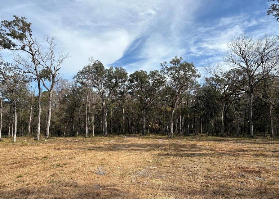 Property photo for LAKE LINDSEY ROAD, Brooksville, FL
