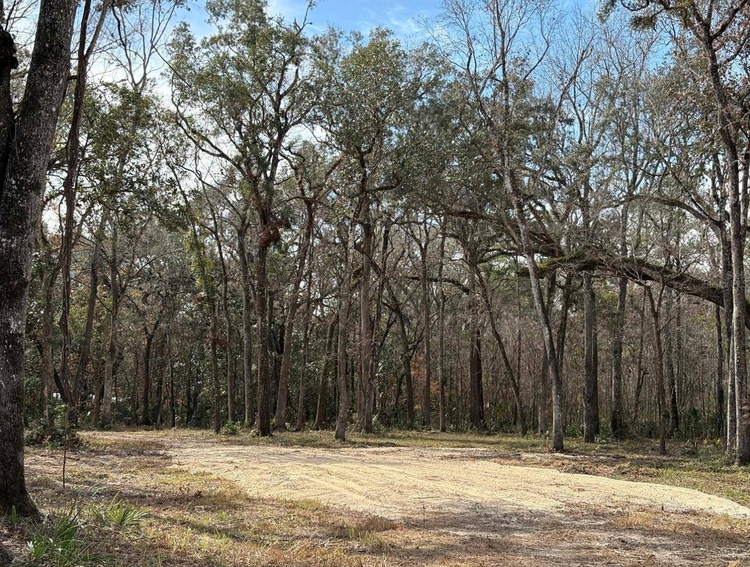 end of driveway that was created