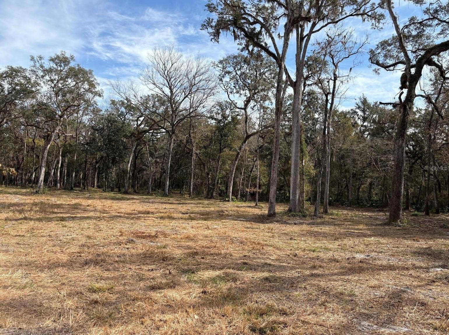 part of the cleared center of the property