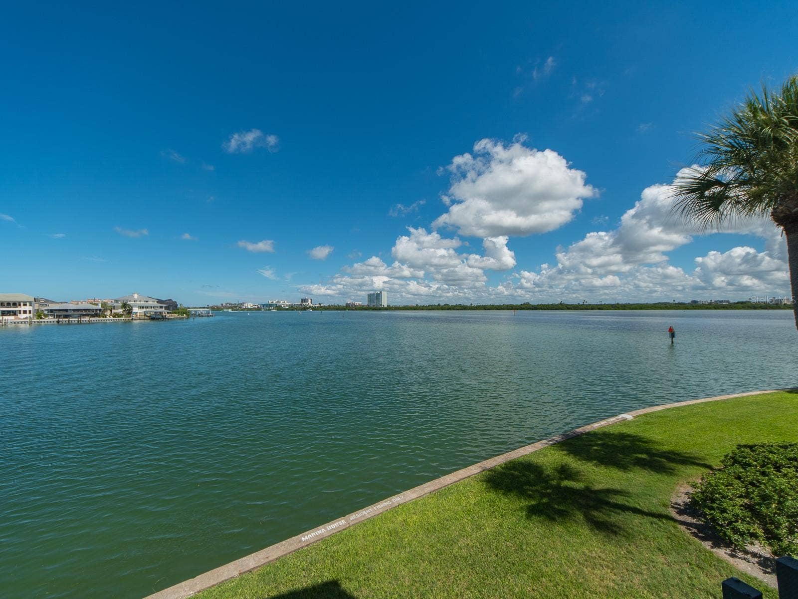 868 BAYWAY BOULEVARD, #208, Clearwater, FL 33767 868 BAYWAY BOULEVARD, #208, Clearwater, FL 33767