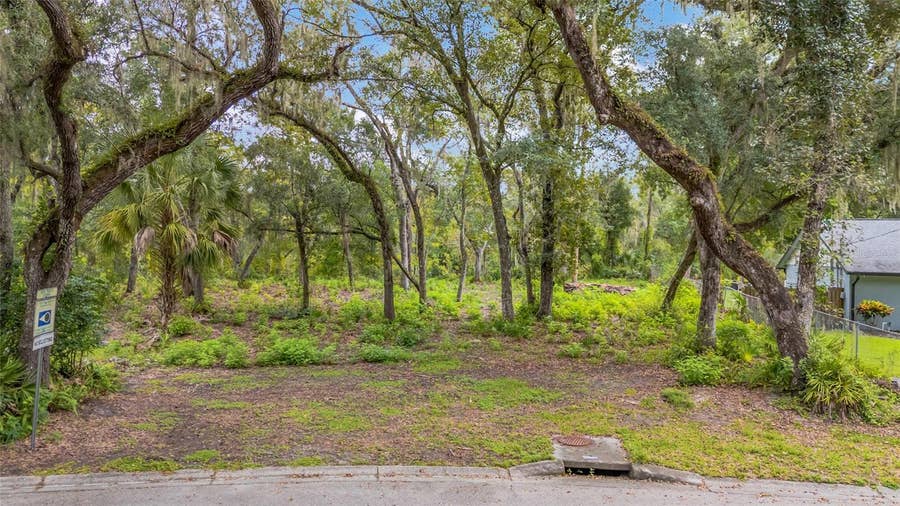 Property photo for 11731 GAIL DRIVE, Temple Terrace, FL