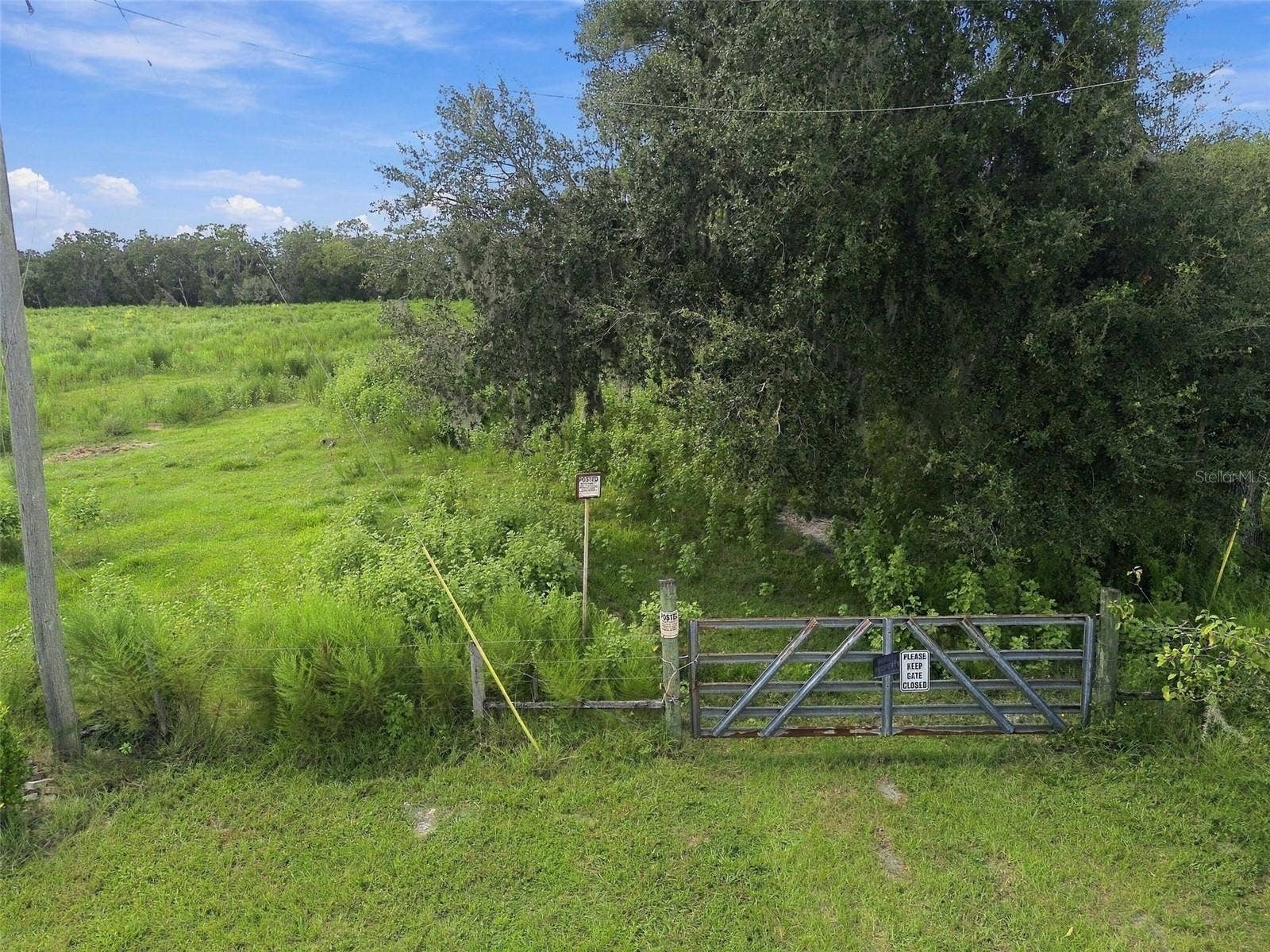 8989 EHREN CUTOFF, Land O Lakes, FL 34639 8989 EHREN CUTOFF, Land O Lakes, FL 34639