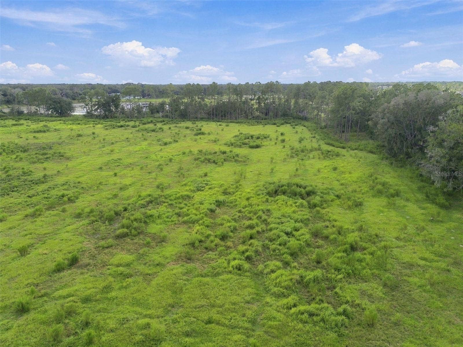 8989 EHREN CUTOFF, Land O Lakes, FL 34639 8989 EHREN CUTOFF, Land O Lakes, FL 34639