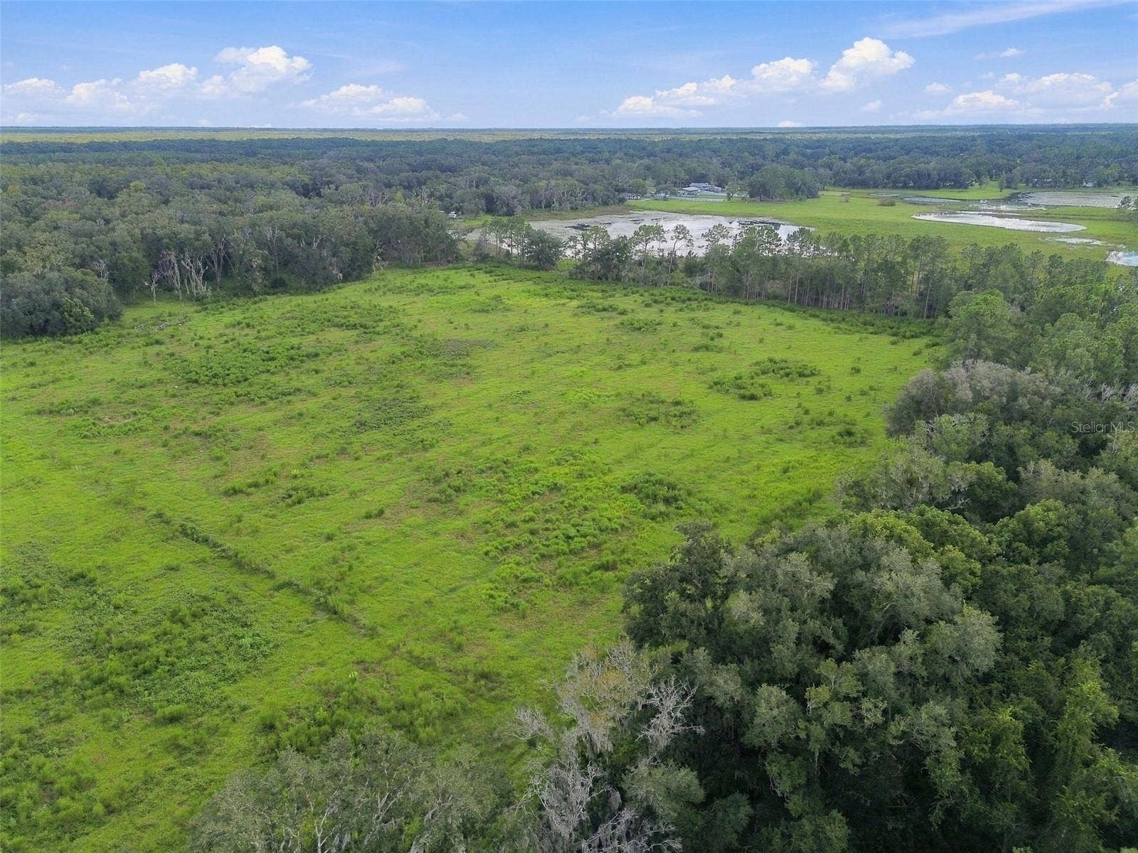 8989 EHREN CUTOFF, Land O Lakes, FL 34639 8989 EHREN CUTOFF, Land O Lakes, FL 34639