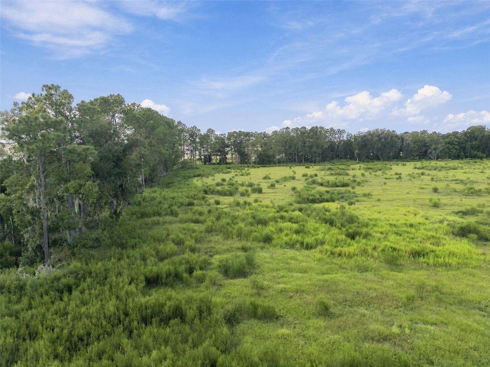 8989 EHREN CUTOFF, Land O Lakes, FL 34639 8989 EHREN CUTOFF, Land O Lakes, FL 34639