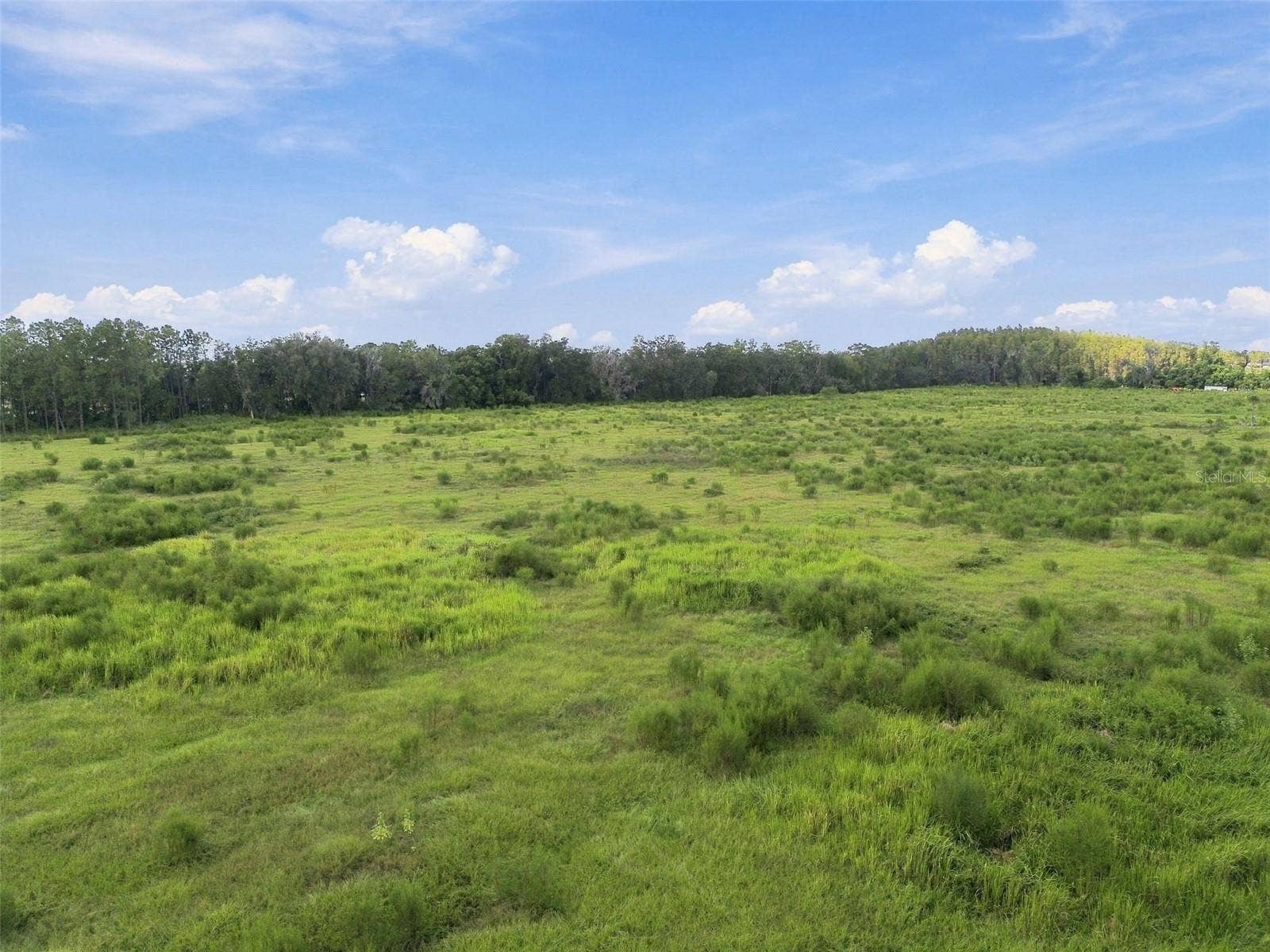 8989 EHREN CUTOFF, Land O Lakes, FL 34639 8989 EHREN CUTOFF, Land O Lakes, FL 34639