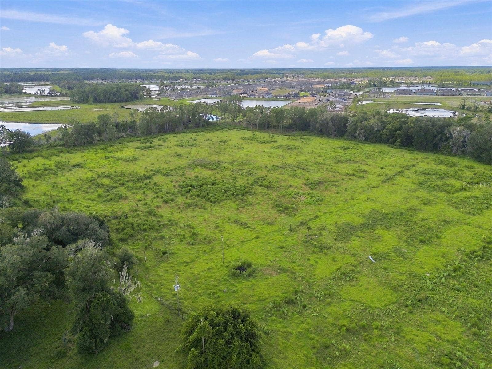 8989 EHREN CUTOFF, Land O Lakes, FL 34639 8989 EHREN CUTOFF, Land O Lakes, FL 34639