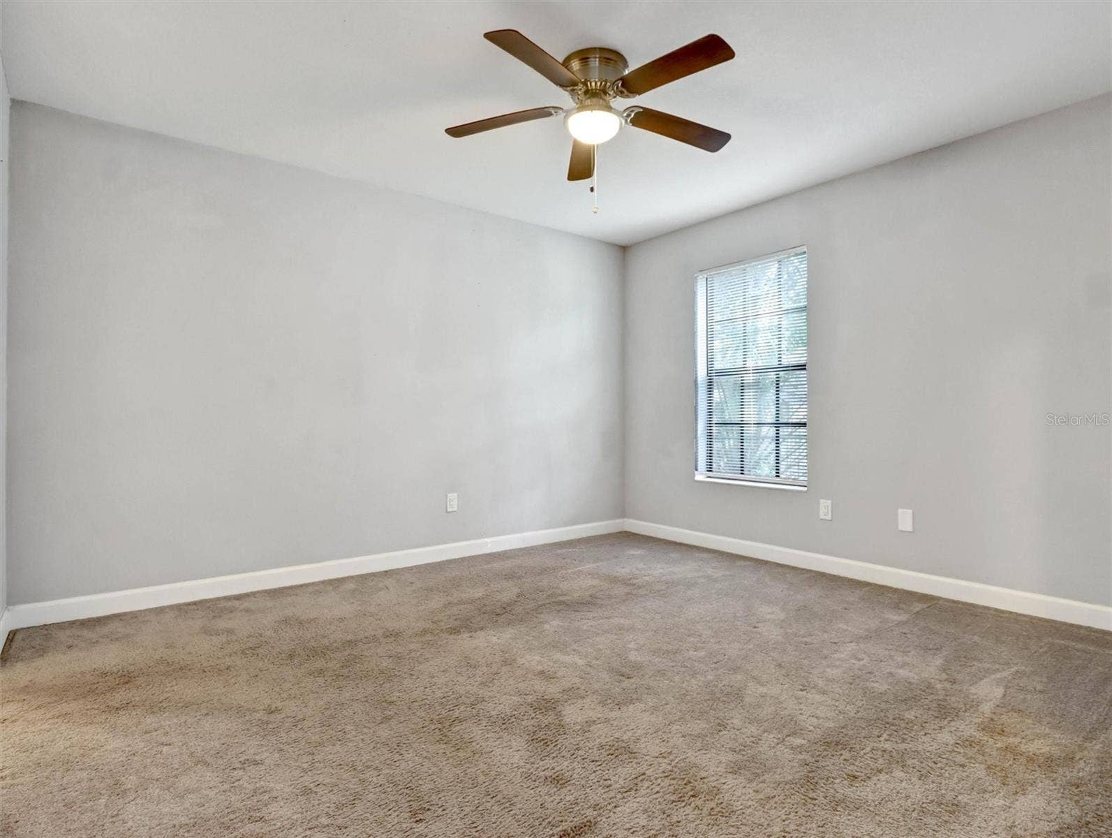 Spacious Primary Bedroom 1