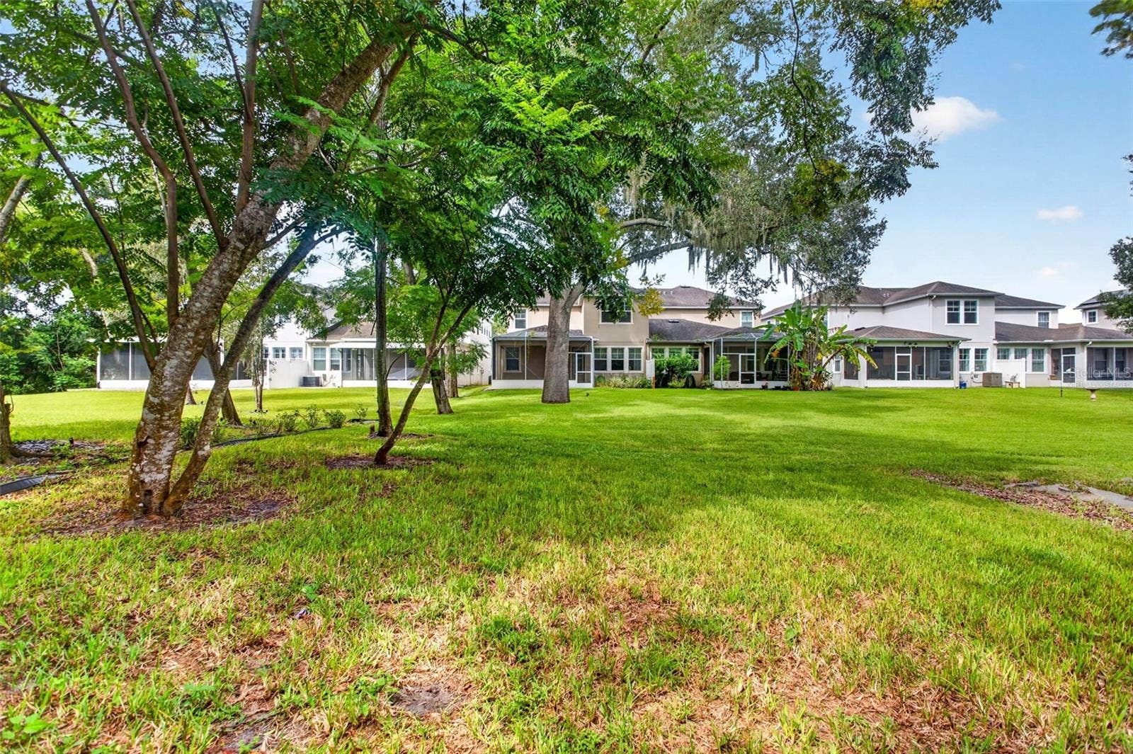 14619 ROCKY BROOK DRIVE, Tampa, FL 33625 virtually staged - backyard