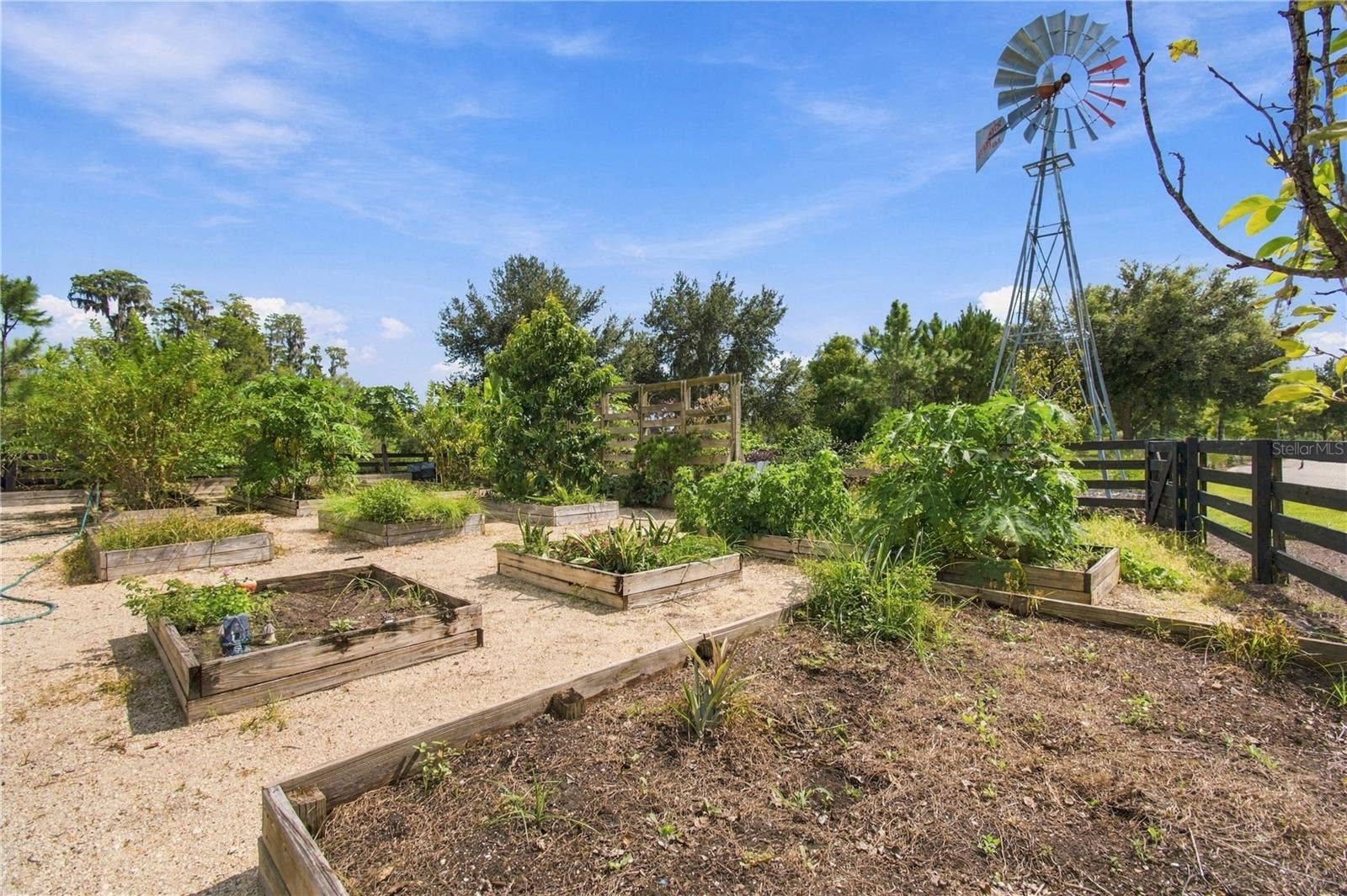 3322 MONROE MEADOWS DRIVE, Odessa, FL 33556