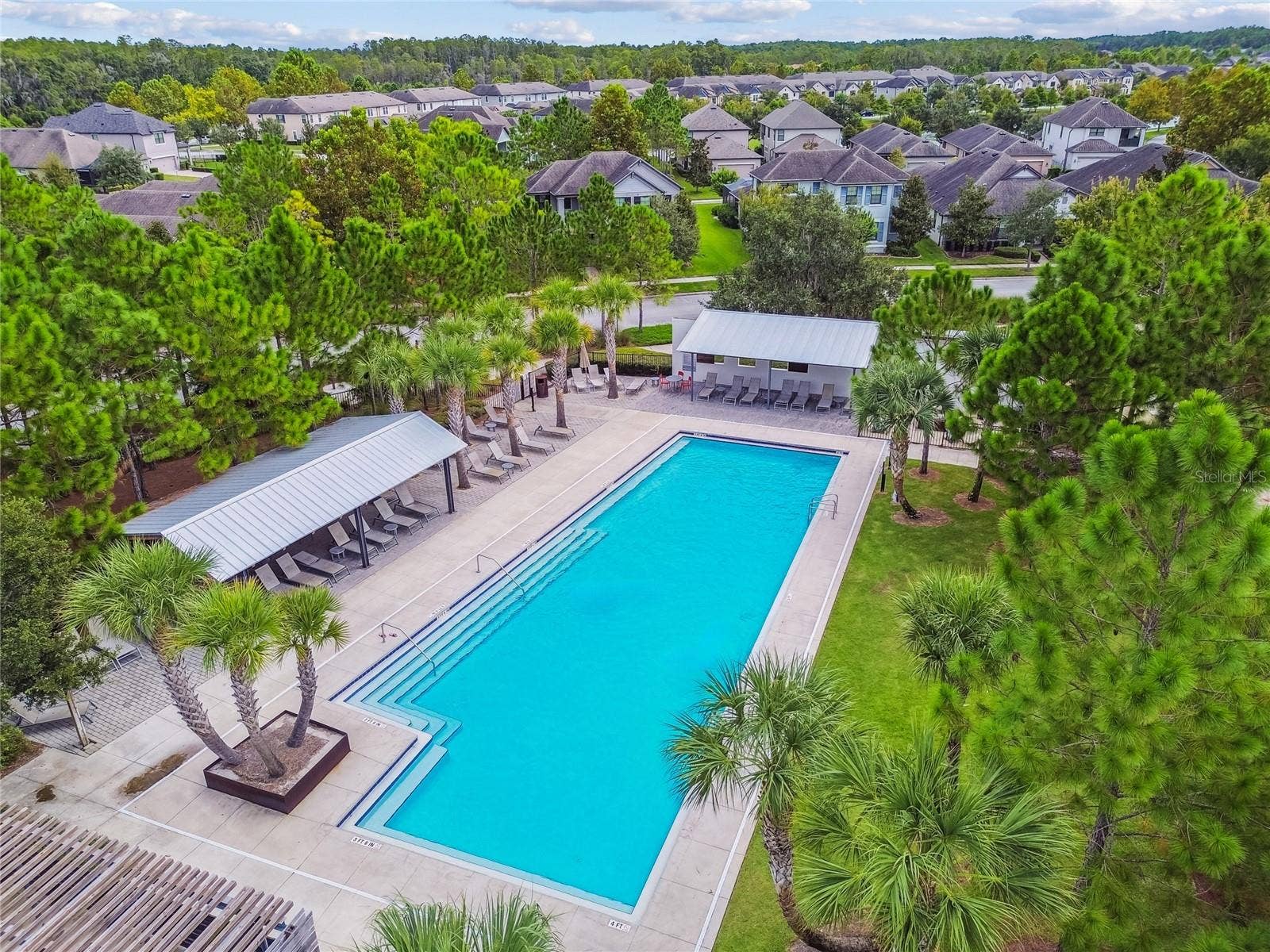 3322 MONROE MEADOWS DRIVE, Odessa, FL 33556
