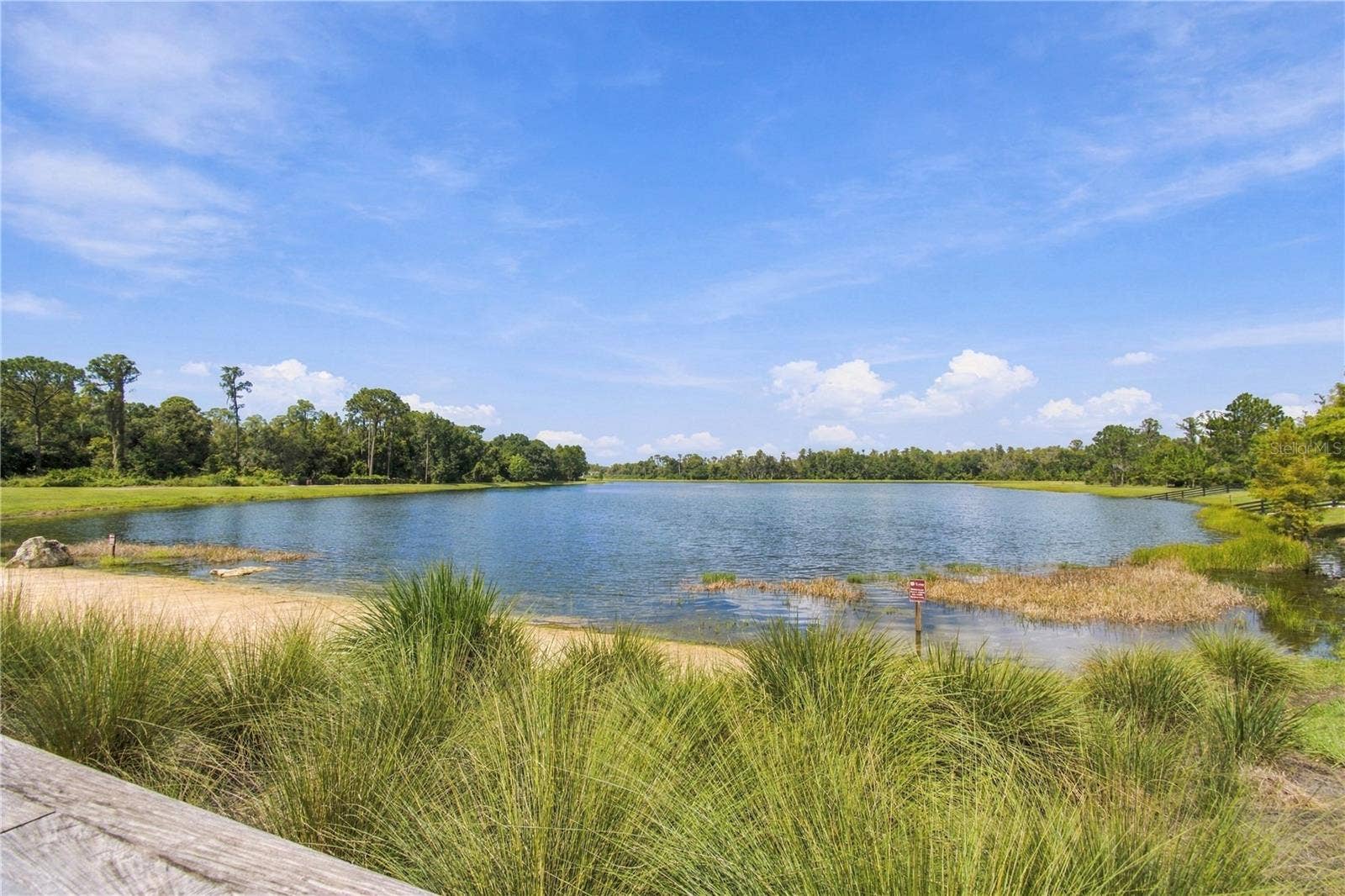 3322 MONROE MEADOWS DRIVE, Odessa, FL 33556