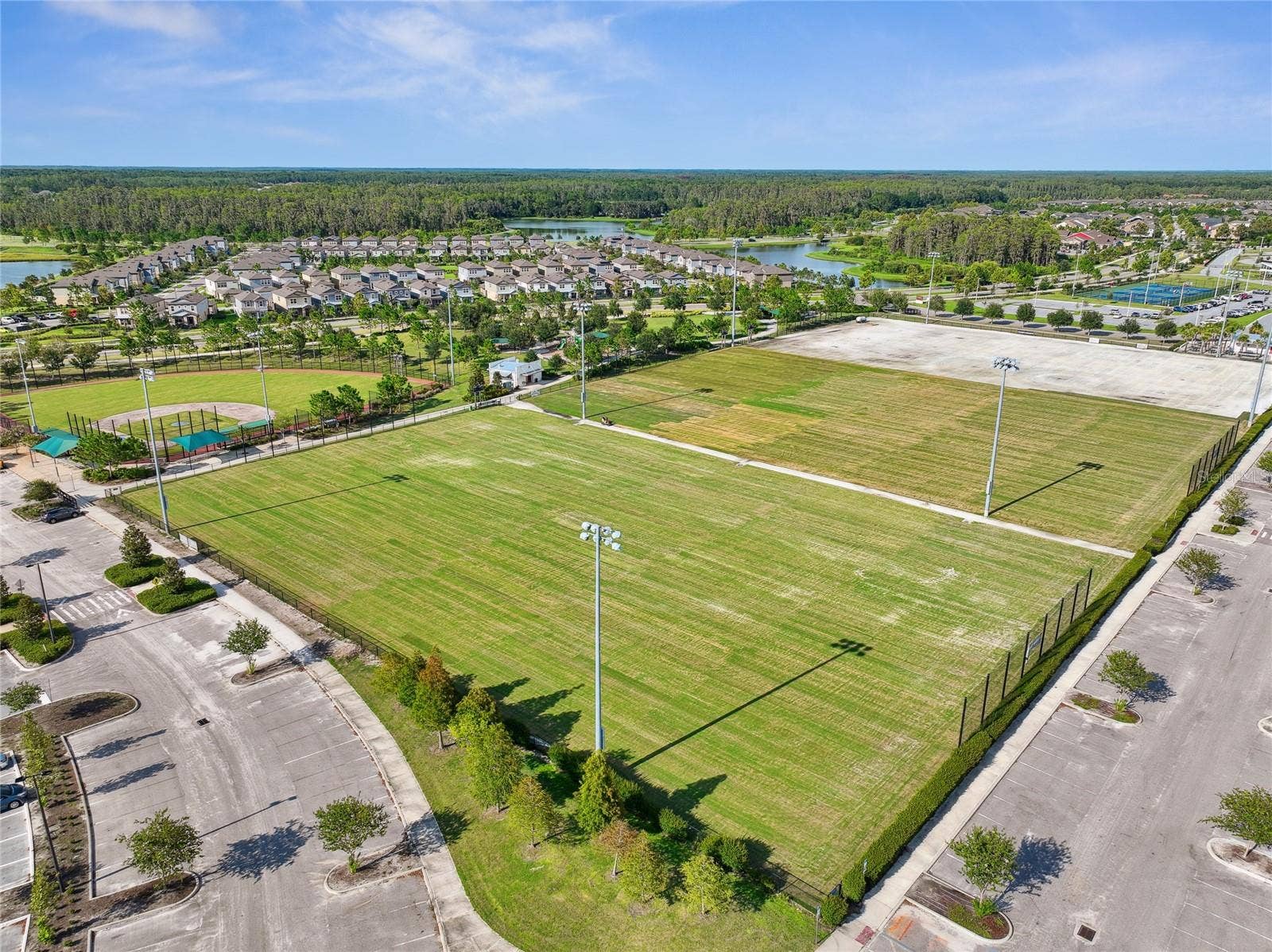 3322 MONROE MEADOWS DRIVE, Odessa, FL 33556