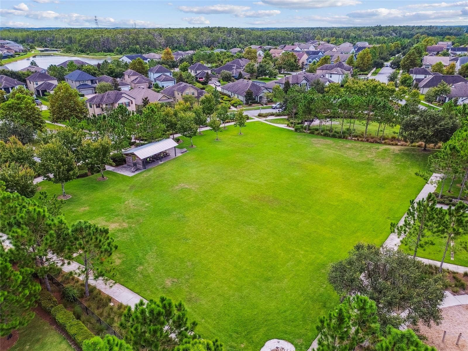 3322 MONROE MEADOWS DRIVE, Odessa, FL 33556