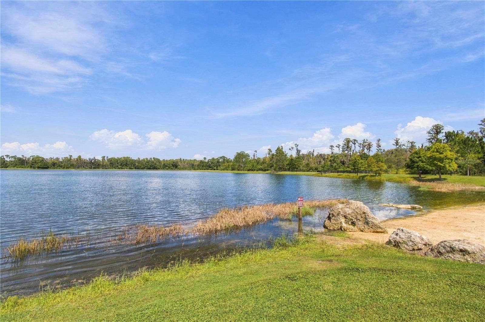 3322 MONROE MEADOWS DRIVE, Odessa, FL 33556