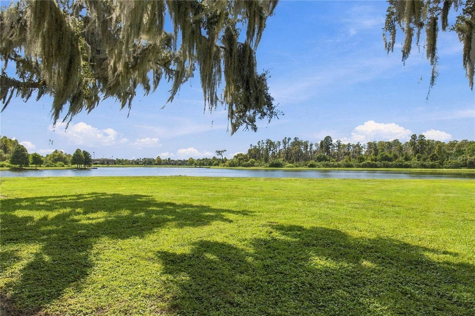 3322 MONROE MEADOWS DRIVE, Odessa, FL 33556