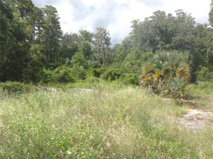 Property photo for TAMARIND DRIVE, Lake Wales, FL