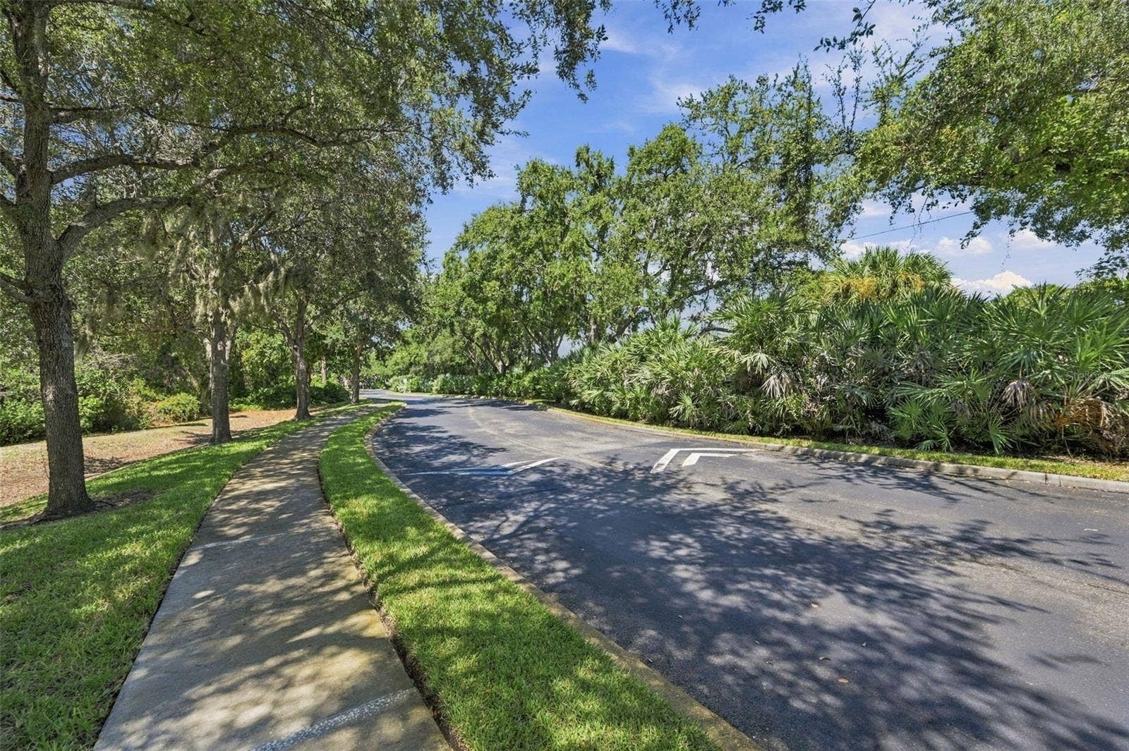 802 LANTERN WAY, #101, Clearwater, FL 33765 802 LANTERN WAY, #101, Clearwater, FL 33765