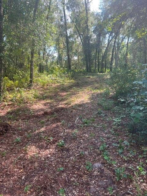 Property photo for ELAINE DRIVE, Webster, FL