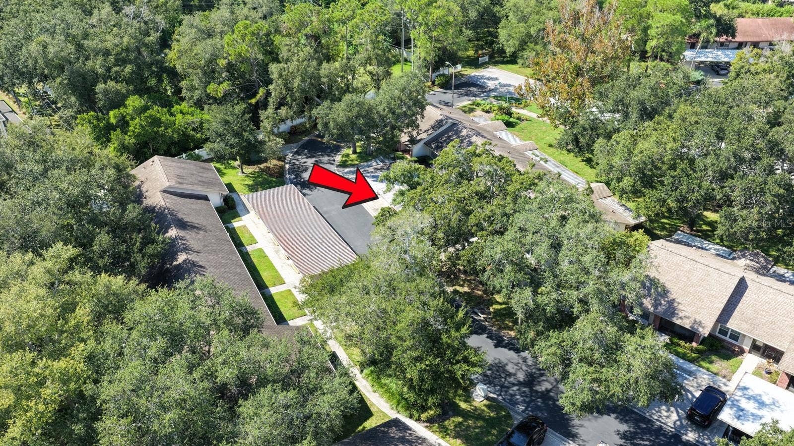 1104 TARRIDON COURT, Dunedin, FL 34698 Beautiful and Quiet Street