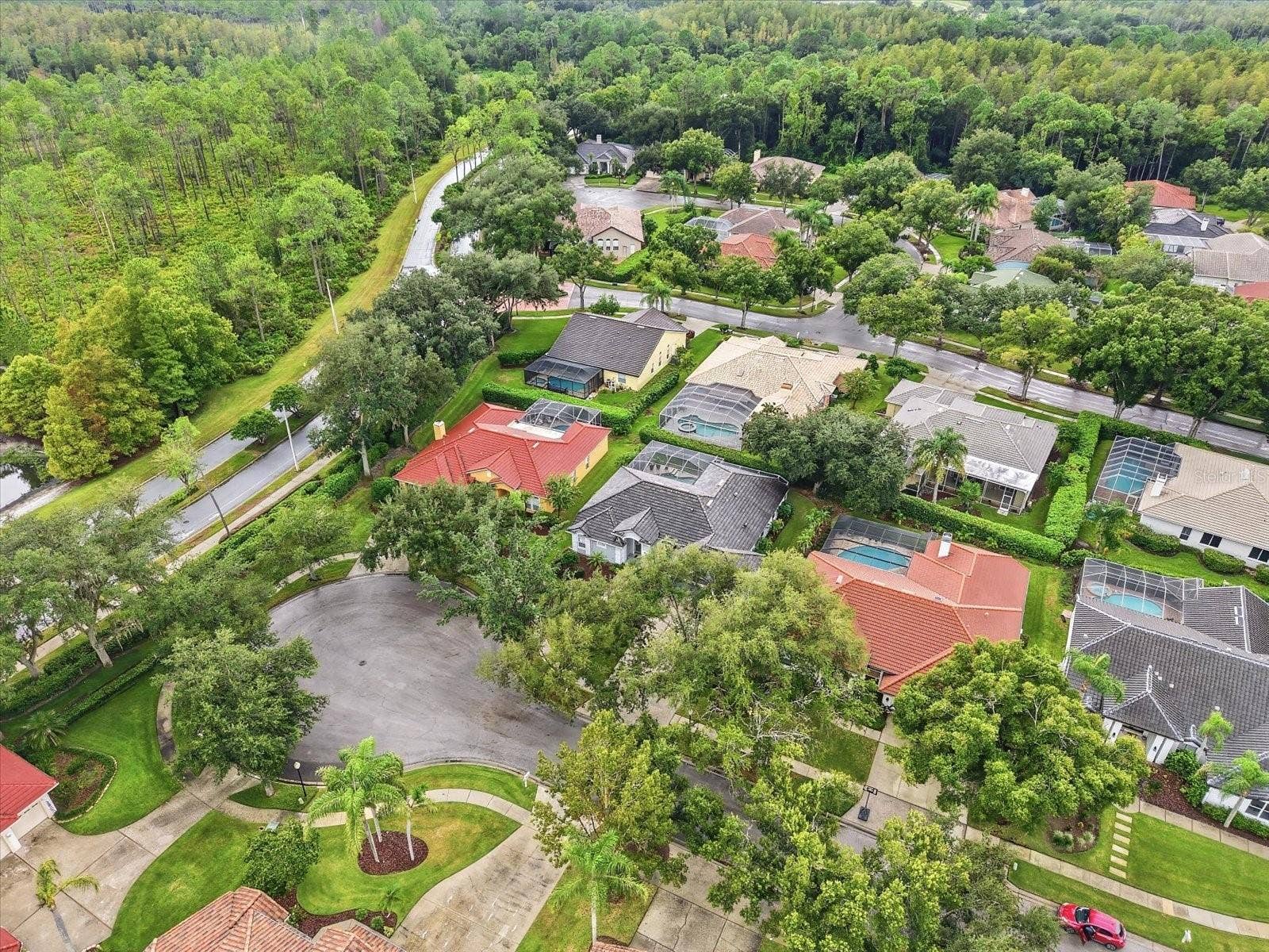 17725 GREY EAGLE ROAD, Tampa, FL 33647